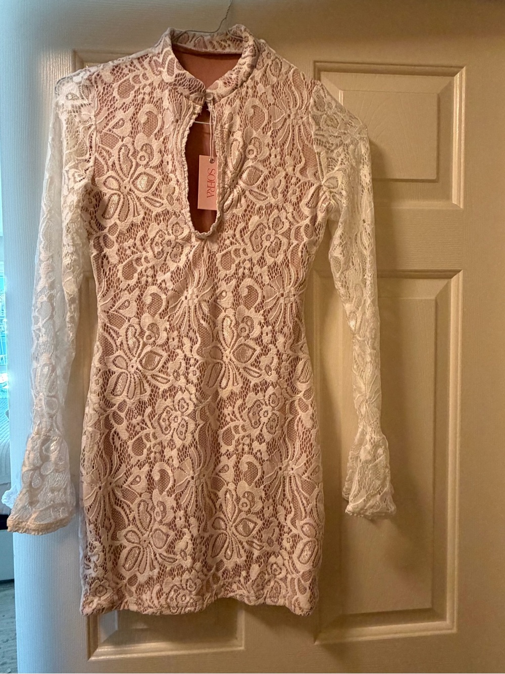 Amara Cut-Out Lace Mini Dress - Picture 2 of 3
